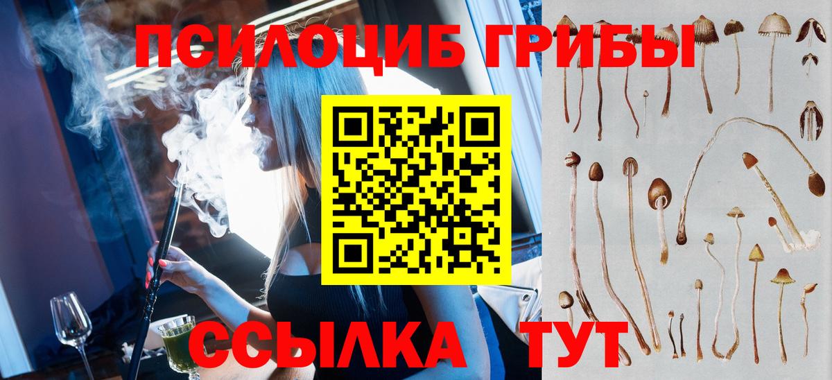 Галлюциногенные грибы мицелий Вязники